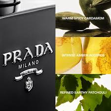 Prada L'Homme Intense parfymprover sällsynt doft